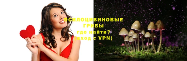 хмурый Алексеевка