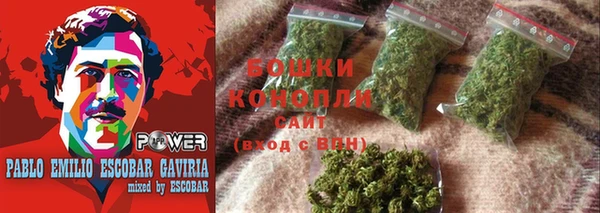 ГАЛЛЮЦИНОГЕННЫЕ ГРИБЫ Алзамай