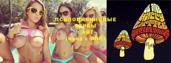 ГАЛЛЮЦИНОГЕННЫЕ ГРИБЫ Алзамай