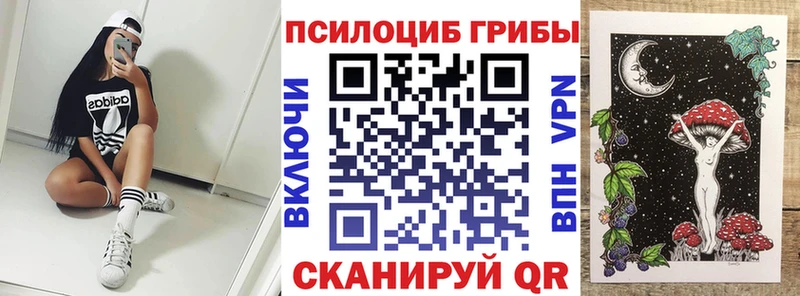 что такое   Кремёнки  Псилоцибиновые грибы MAGIC MUSHROOMS 
